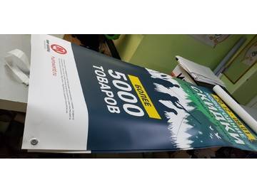 баннер  Паук